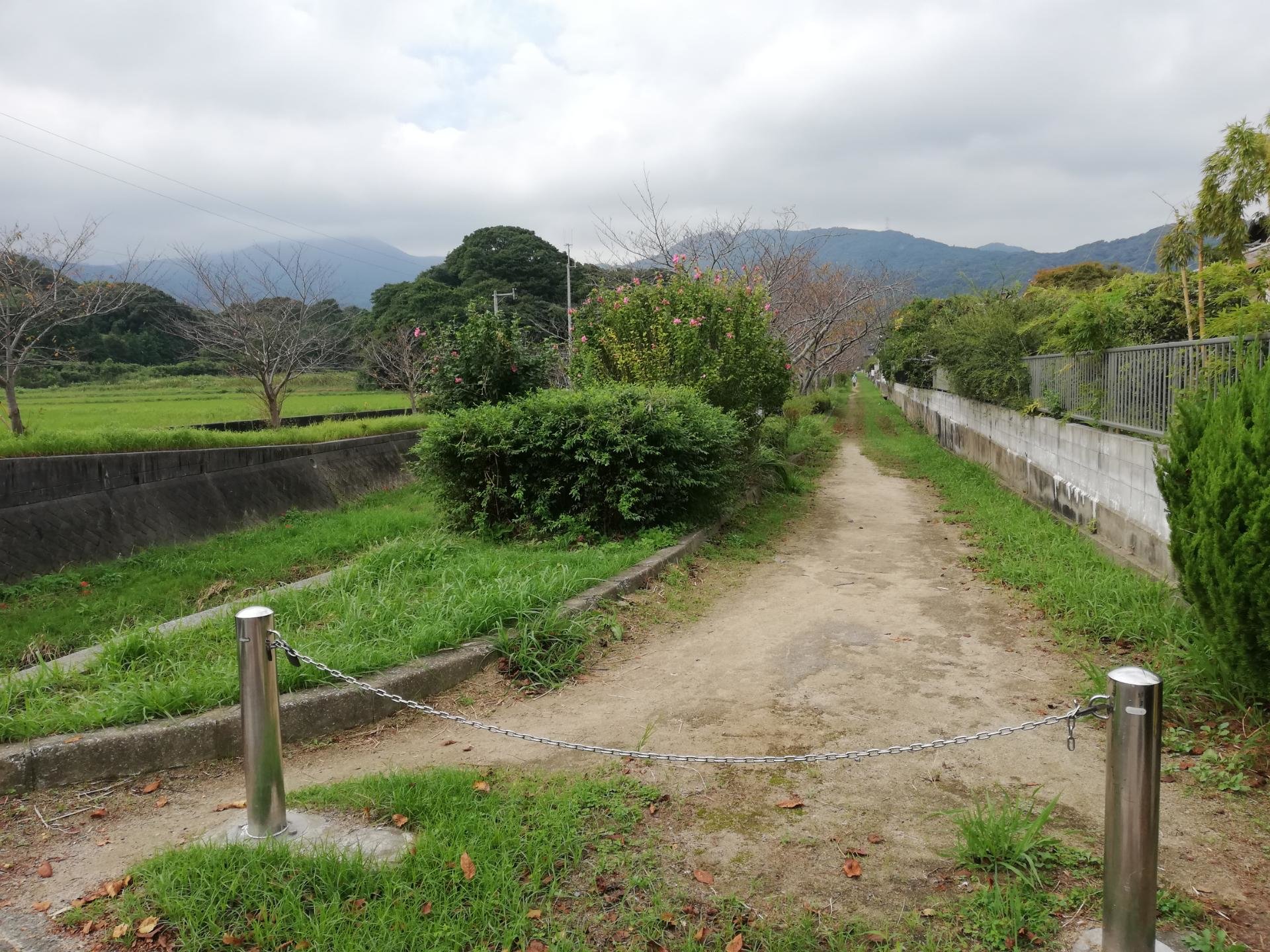 占い師ミラーのお気に入り写真1